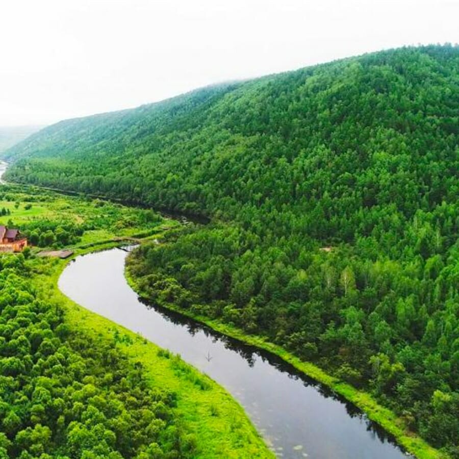 Winding Heilongjiang River surrounded by thick forests in China