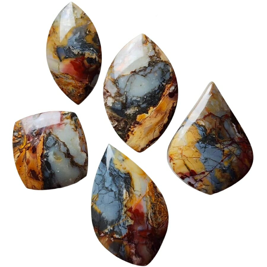 Five polished pieces of differently-shaped mescalero jaspers showing colorful patterns