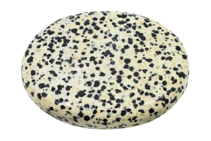 A perfect oval-shaped Dalmatian jasper stone
