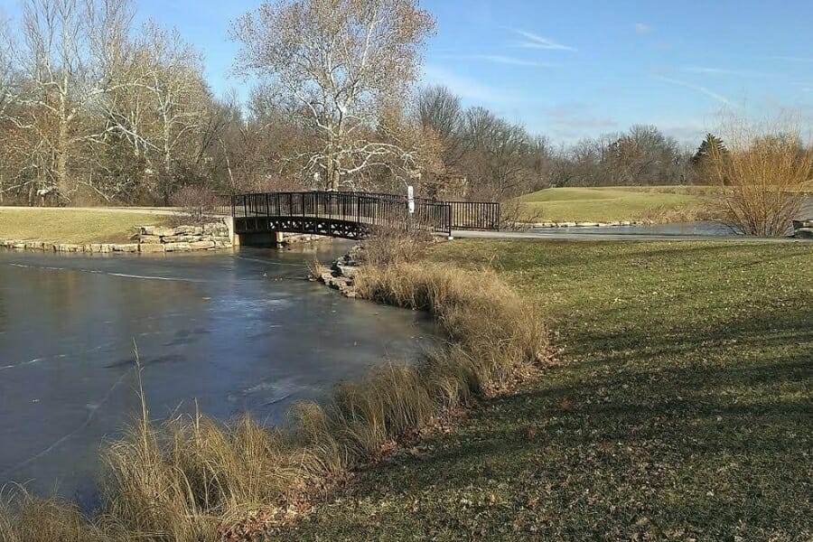 A flowing river under the bridge surrounded by grasslands and trees
