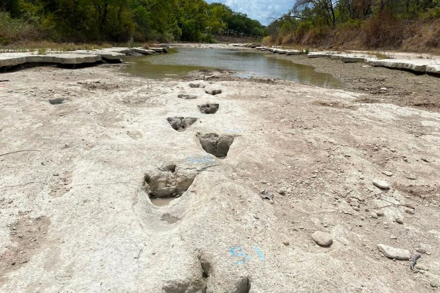 Dinosaur tracks leading to the riverbed of the Dinosaur Valley State Park