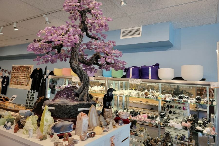 interior of a shop with a fake cherry tree and shelves lined with rocks, minerals, and fossils