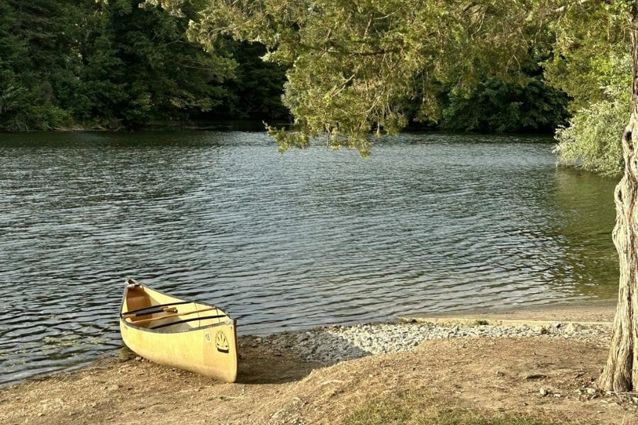 yellow canoe on the shore of a lake, under the leaves of a tree