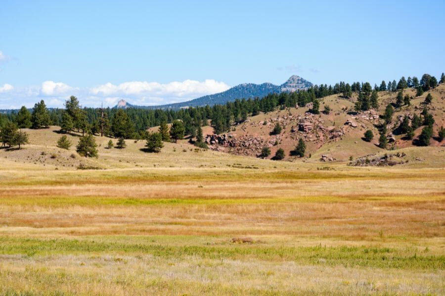 grass field in front of the Florissant Fossil Beds National Monument