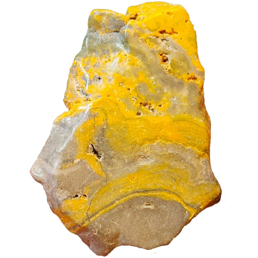 A slab of bumblebee jasper showing bright yellow details