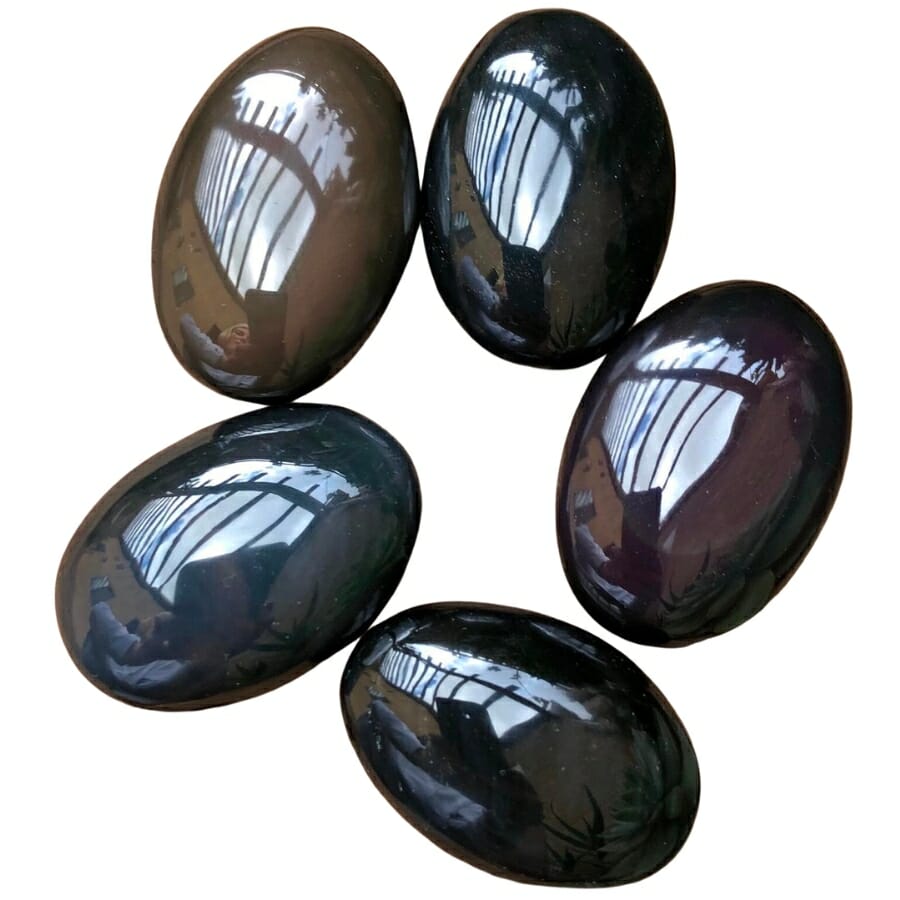 Five cut and polished obsidians displaying clear glassy appearance
