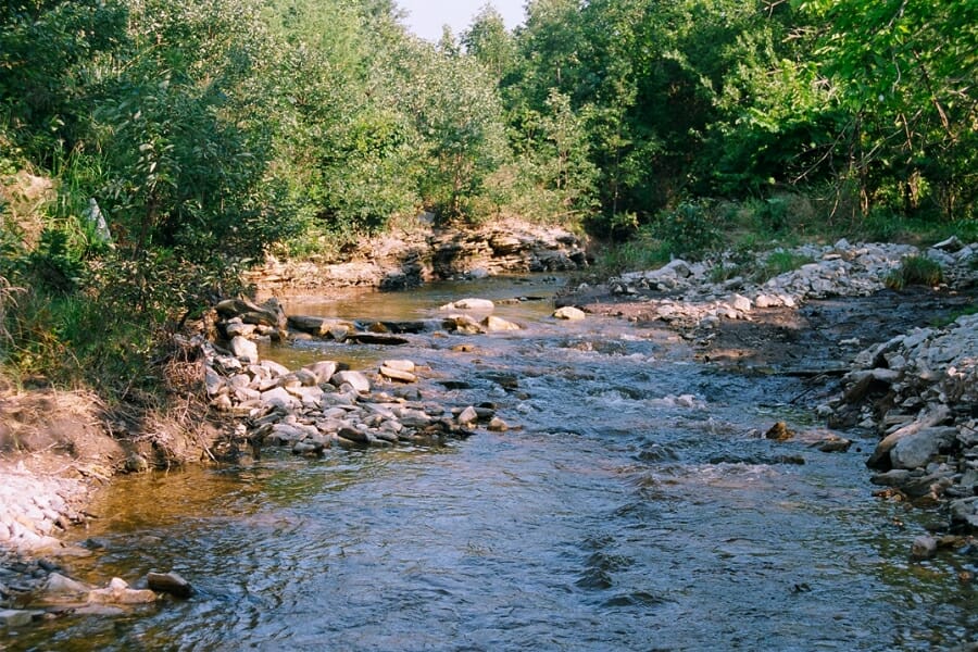 A shallow creek at Hamilton