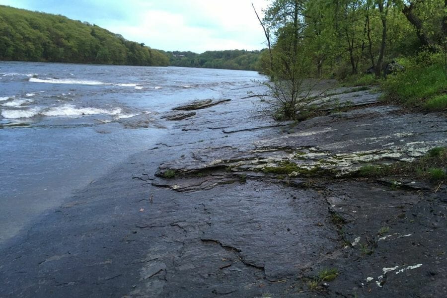 rocky banks of the Connecticut River displaying dinosaur tracks in Holyoke