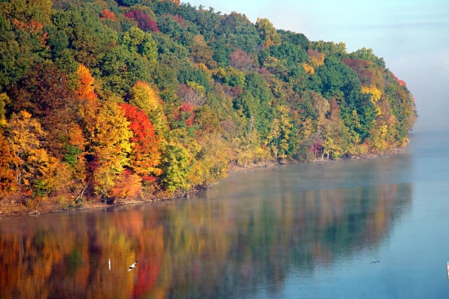 Vibrant lush trees and calm waters at the Hueston Woods State Park