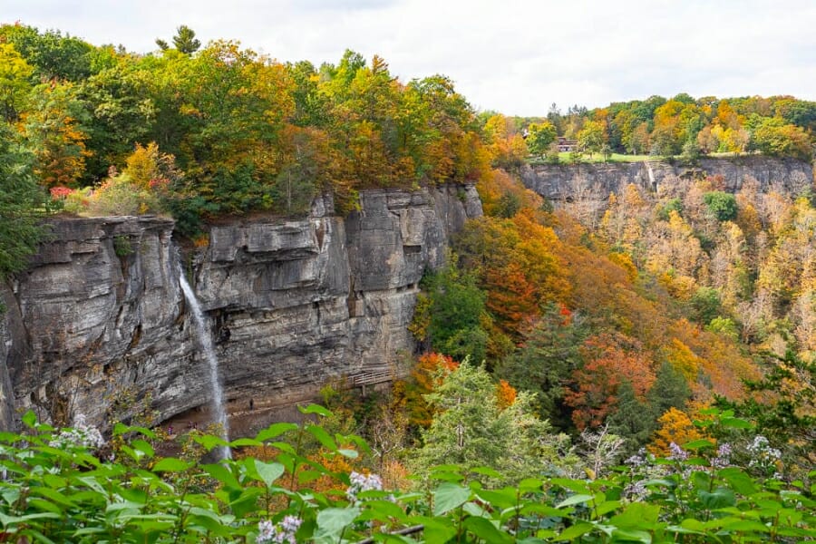 Beautiful view of the rock formations and surrounding greeneries at John Boyd Thacher State Park