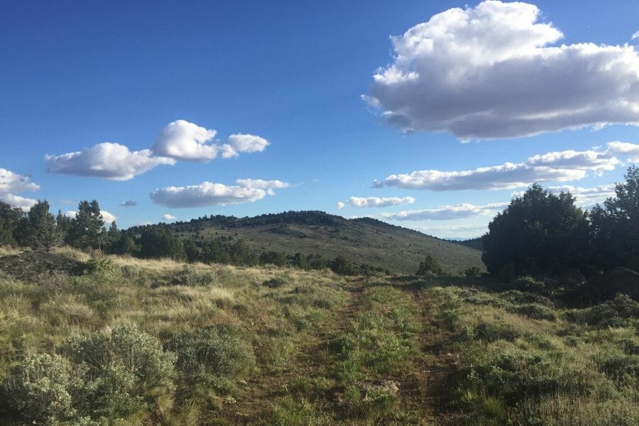 green slopes of Juniper Mountain, Oregon