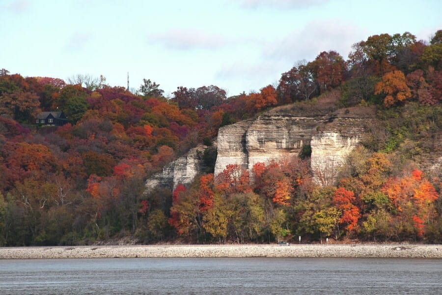 A picturesque landscape with vibrant trees