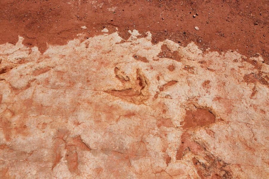 three-toed dinosaur tracks embedded in red rock