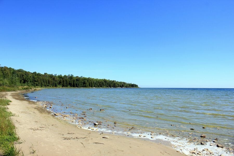 sandy beach with trees under the blue sky
