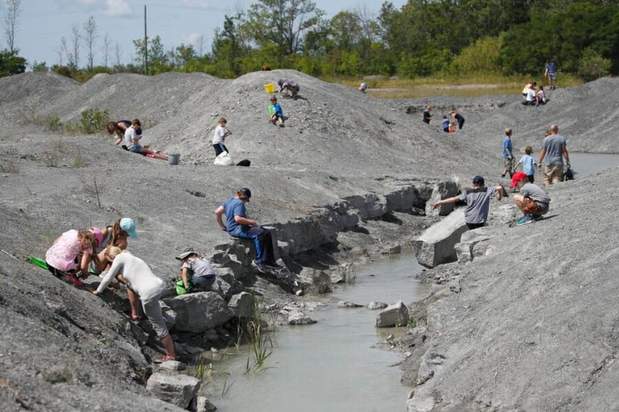 People of all ages digging through the Penn Dixie Fossil Park & Nature Reserve for fossils