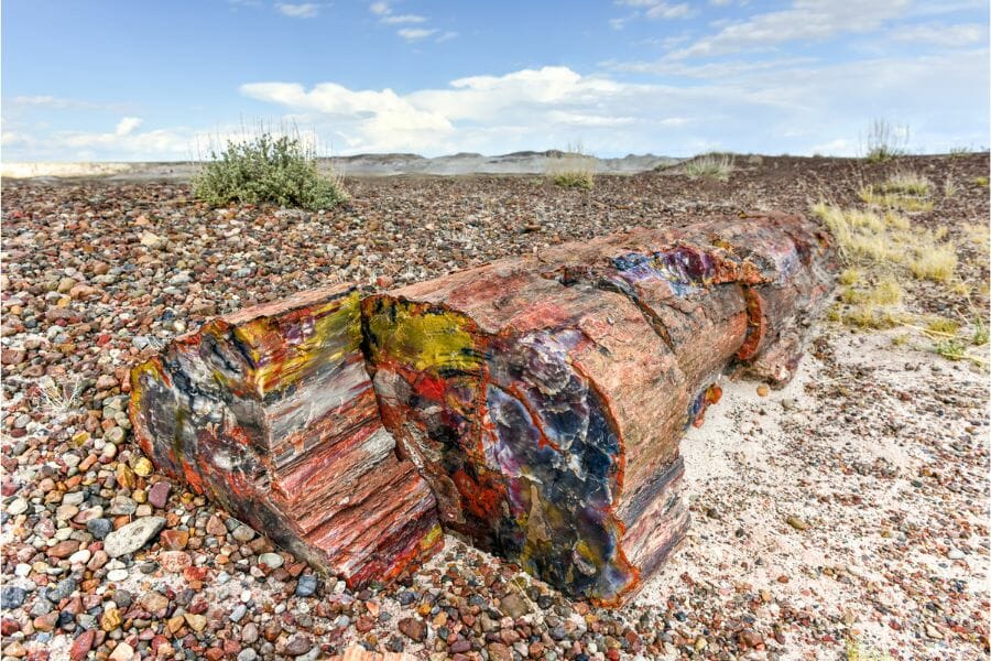 petrified wood log with red, yellow, white, and black swirls in the Petrified Forest National Park