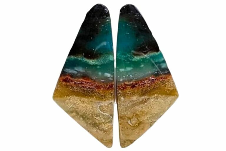 How Much Petrified Wood Is Worth In 2024 (Expert Appraisals)