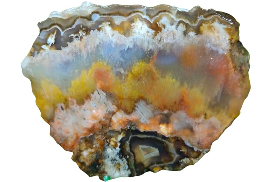 Plume agate with vivid inclusions of white, orange, and yellow that look like soft brush paints