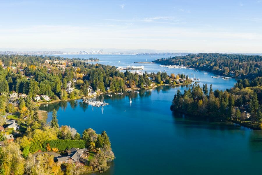 winding river flanked by forested areas, with the sea in the horizon