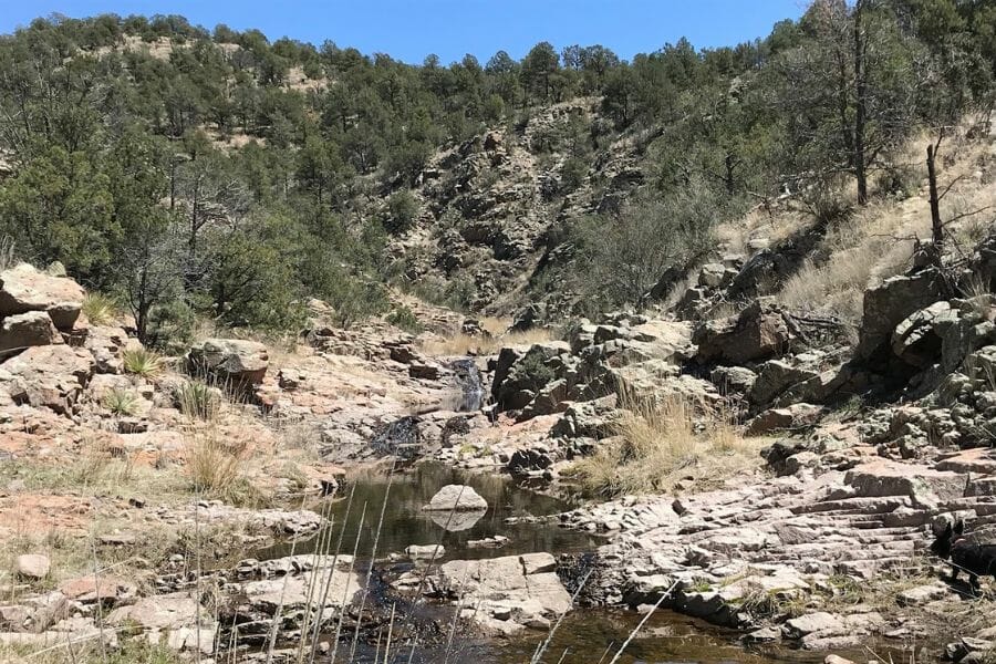 rocks and trees on mountain slopes with a small creek in the middle