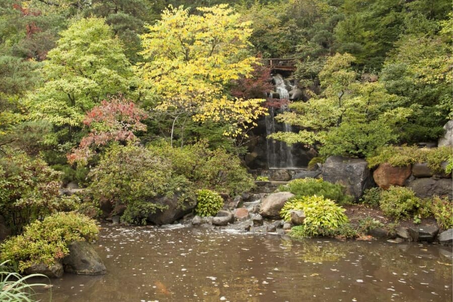 A gorgeous area at Rockford, IIllinois with a beautiful waterfall under the bridge and lush trees