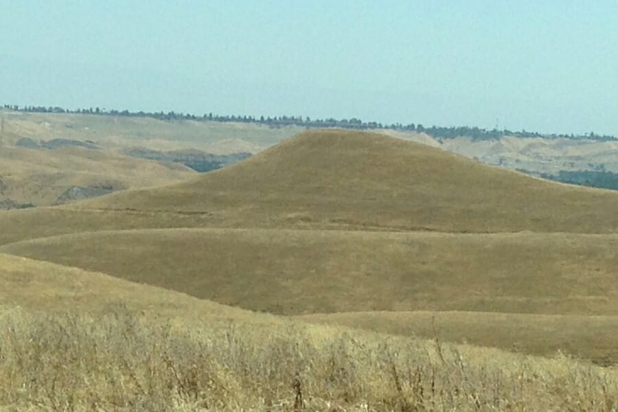 A vast land area where you can look for fossils