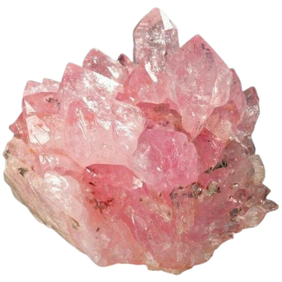 A raw rose quartz crystal cluster