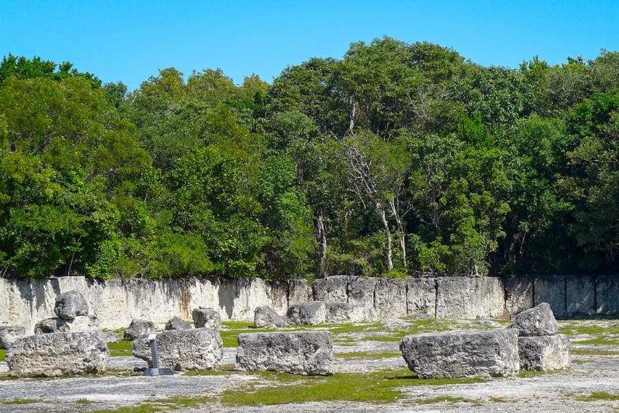 Wide view of the rock formations and surrounding trees at the Windley Key Fossil Reef Geological State Park