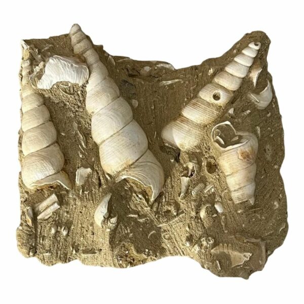 Radioactive Rocks Texas The 15 Most Valuable Rocks, Minerals, & Gems Found In Texas
