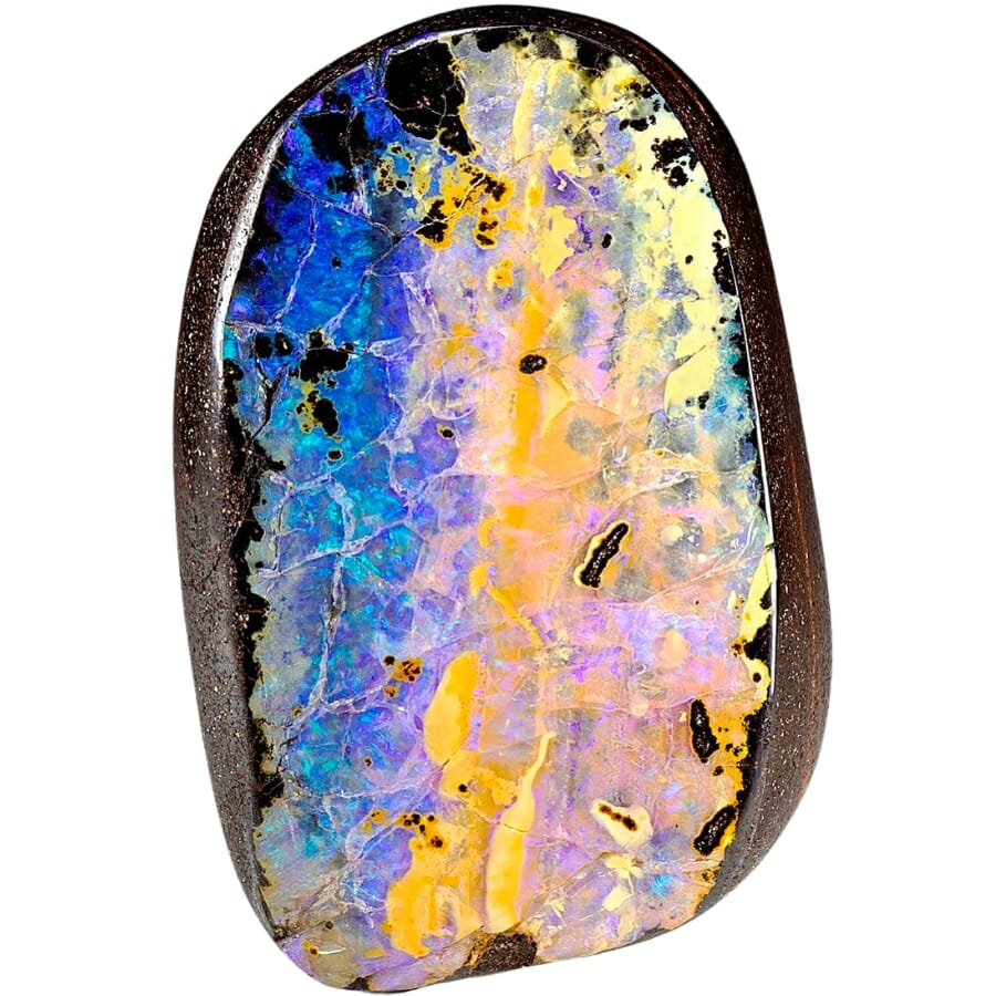 A gorgeous polished specimen of opal that exhibit wonderful colors