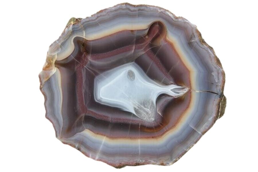 An agate nodule that has a beautiful swirl of different hues
