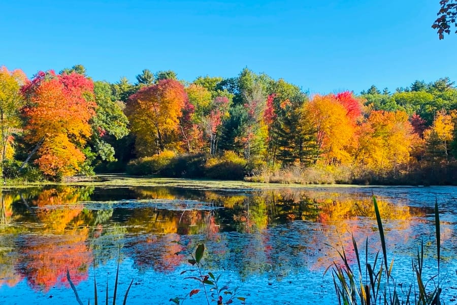 A view of a river in Amherst during autumn