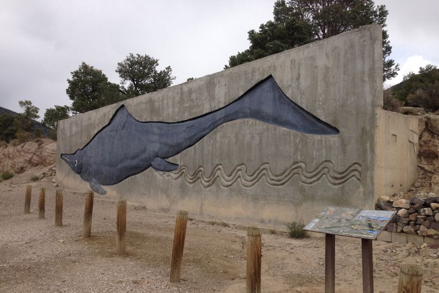large ichthyosaur mural at the Berlin-Ichthyosaur State Park