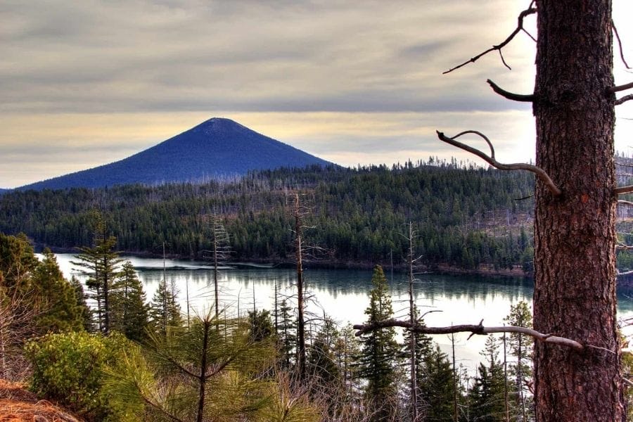 A breathtaking view of the Black Butte with a lake and a forest of pine trees