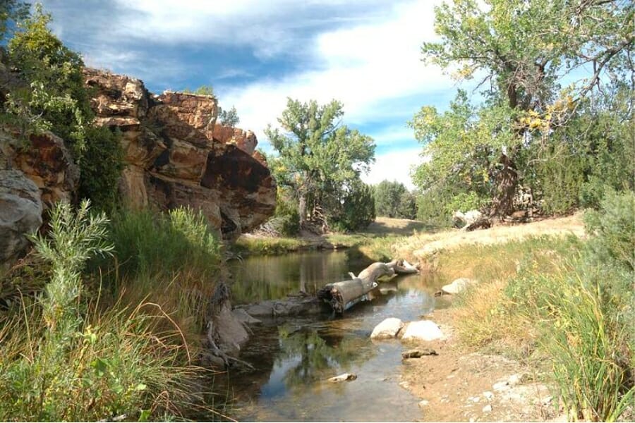 Beautiful view of the Carrizo Creek