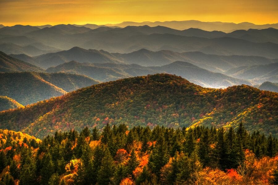 tree-covered mountains