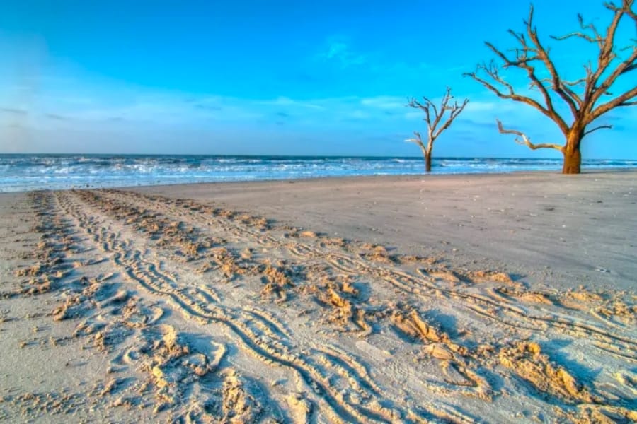 A stunning view of Edisto Beach showing its vast shores