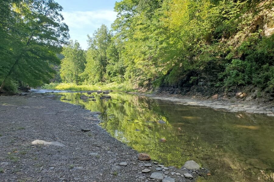 A stretch of the creek and gravel beds at Eighteen Mile Creek