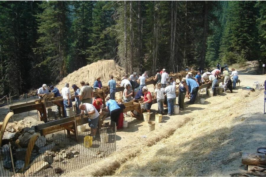 people standing around troughs at the Emerald Creek Garnet Area