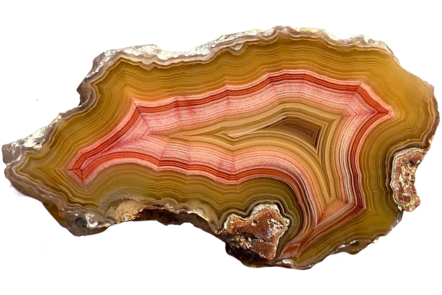 A beautiful Laguna agate with intricate banding of red, white and yellow