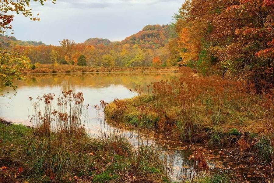 The Kentucky Wildlife Refuge surrounding area during autumn season