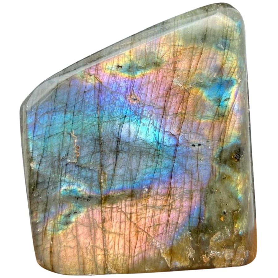 A mesmerizing labradorite slab specimen