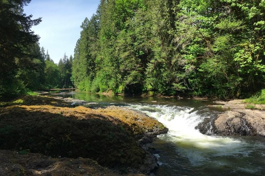 A running creek at Lewis County where Fern Hill Cinnabar Mine is located