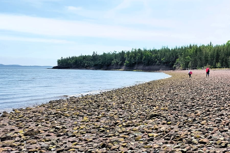 Two people picking rocks at the bay of Loring Cove