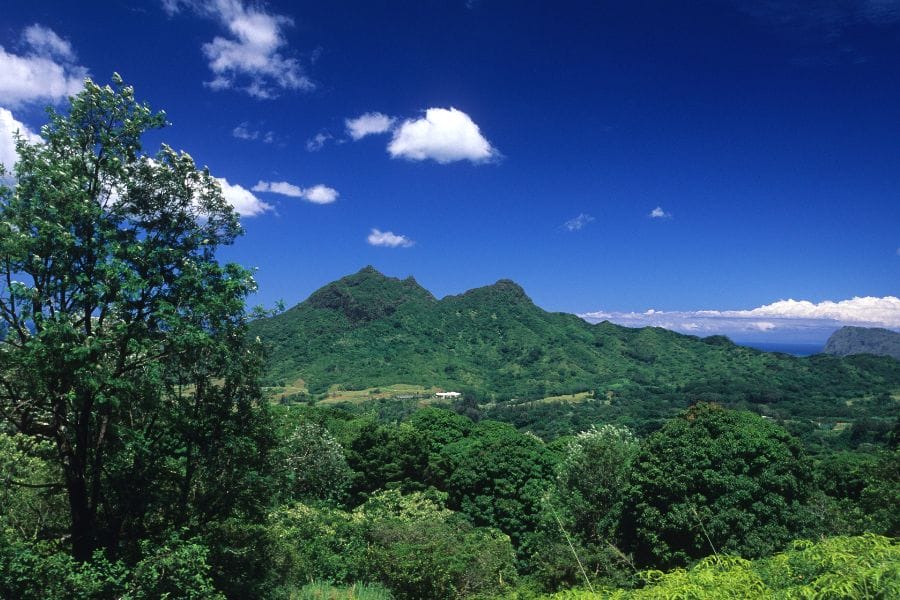 tree-covered mountain peaks