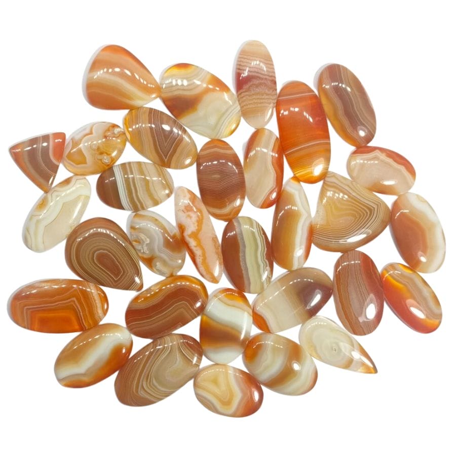 several agate cabochons with white and orange bands