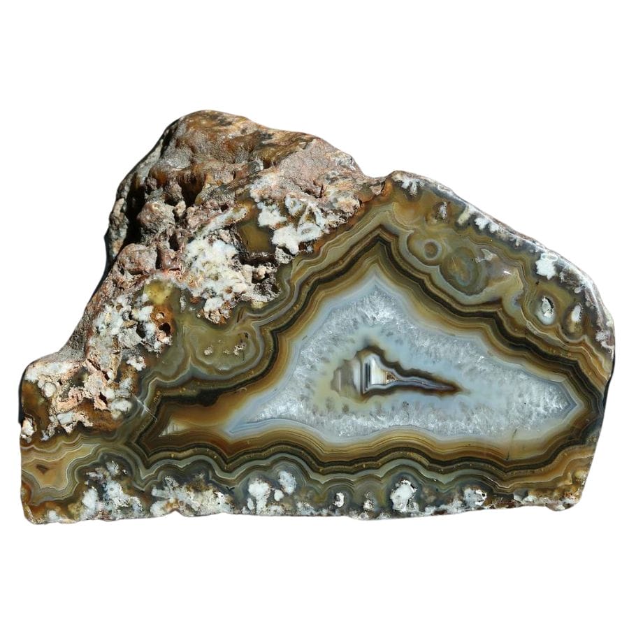 agate with white and brown bands