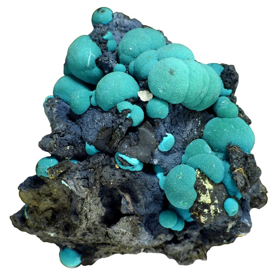 blue green botryoidal chrysocolla crystals on a rock