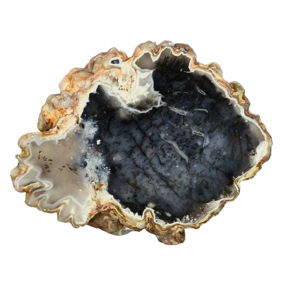 dark gray dendritic agate with brown rock crust