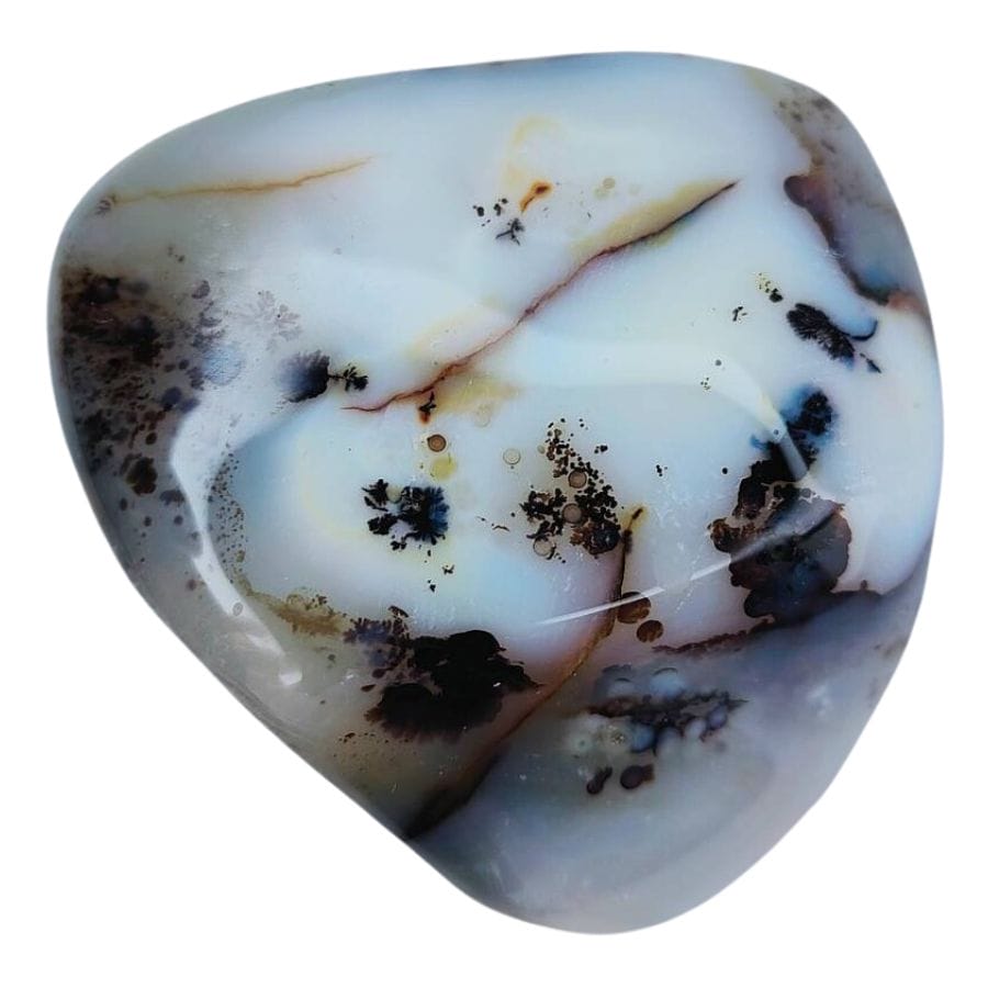 tumbled dendritic agate with a white base and black and brown dendrites